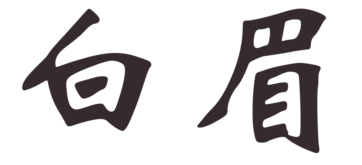 Enter pakmei.de - 白眉 (Pak Mei) White Eyebrow Kung Fu